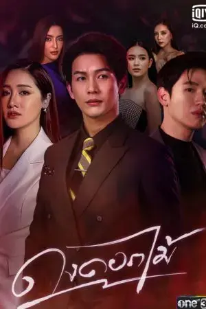 Rừng Hoa Rực Lửa Rừng Hoa Rực Lửa