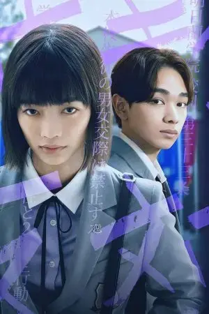 Yêu 214 lần ở Shangrila